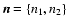 ${\vec n}=\{n_1,n_2\}$