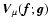 ${\vec V}_\mu(\vec{f};\vec{g})$