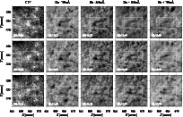\begin{figure}\par
\includegraphics[width=180mm]{5864fig4}\par
\end{figure}