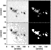 \begin{figure}
\par\resizebox{8.8cm}{!}{\includegraphics{5752fi7.eps}} \end{figure}