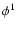$\phi^1$