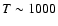 $T\sim 1000$