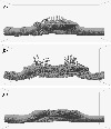 \begin{figure}
\par\resizebox{8.8cm}{!}{\includegraphics[]{5950fig15.eps}}\end{figure}