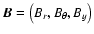 ${\vec B}=\left(B_r,B_{\theta},B_y\right)$