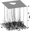 \begin{figure}
\par\includegraphics[width=88mm, bb=226 340 694 848,clip=true]{6166_f1.ps}
\end{figure}