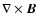 $\nabla \times \vec{B}$