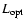 $L_{\rm opt}$