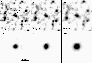 \begin{figure}
\par\includegraphics[width=8.1cm,clip]{2505fig7.ps}
\end{figure}