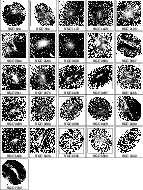 \begin{figure}
\par\includegraphics[width=12.5cm,clip]{3512fig2.ps}
\end{figure}