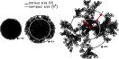 \begin{figure}
\par\includegraphics[width=12cm,clip]{5949fig2}
\end{figure}