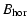 $\displaystyle B_{\rm hor}$
