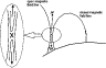 \begin{figure}
\par\includegraphics[width=8.4cm,clip]{3736fig1.eps}
\end{figure}