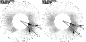 \begin{figure}
\par\includegraphics[width=7.5cm,clip]{4920fig1.eps}
\end{figure}