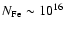 $N_{\rm Fe}\sim 10^{16}$