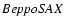 ${\it BeppoSAX}$
