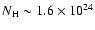 $N_{\rm H} \sim 1.6\times 10^{24}$