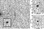 \begin{figure}
\par\includegraphics[width=8cm,clip]{6110fig3.ps}
\end{figure}