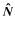 $\vec{\hat N}$