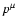 $p^\mu$