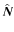 $\hat{\vec{N}}$