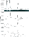 \begin{figure}
\par\includegraphics[width=8.5cm,clip]{4159fig5.eps}\end{figure}