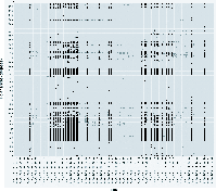 \begin{figure}
\par\includegraphics[width=17.5cm,clip]{4159fig8.eps}\end{figure}