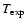 $T_{\exp}$