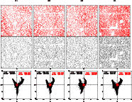 \begin{figure}
\par\includegraphics[width=16cm]{5677fig1.eps} \includegraphics[width=16.2cm]{5677fig2.eps}
\end{figure}