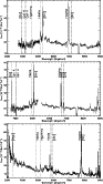 \begin{figure}
\par\includegraphics[width=8.2cm,clip]{6072fig8.ps}
\end{figure}