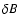$\delta B$