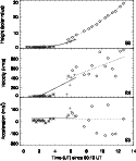 \begin{figure}
\includegraphics[width=11cm,clip]{5471f06.eps}
\end{figure}