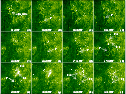 \begin{figure}
\includegraphics[width=11cm,clip]{5471f09.eps}
\end{figure}