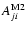 $A^{{\rm M2}}_{ji}$