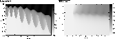 \begin{figure}
\par\includegraphics[width=7.2cm,clip]{6307fig9.eps}\hspace*{1.5mm}
\includegraphics[width=7.2cm,clip]{6307fg10.eps}\end{figure}