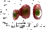 \begin{figure}
\par\includegraphics[width=7.8cm,clip]{6031fig11.eps}\end{figure}