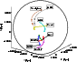 \begin{figure}
\par\includegraphics[width=7.45cm,clip]{6031fig09.eps}\end{figure}
