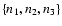 $\left\{ {n_1 ,n_2 ,n_3 }
\right\}$
