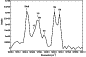 \begin{figure}
\par {\includegraphics[width=7.4cm,clip]{6231fig1.eps} }
\end{figure}