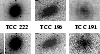 \begin{figure}
\par\mbox{\epsfig{figure=6300fig3a.ps,width=2.75cm}\hspace{0.2cm}...
...t]{2.75cm}{\vspace{-2.5cm}\hspace{0.5cm}\Large \bf FCC 191} }
\par\end{figure}