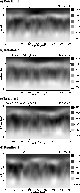 \begin{figure}
\par\includegraphics[width=7cm,clip]{5982f9.eps}\end{figure}