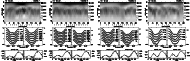 \begin{figure}
\par\includegraphics[width=4cm,clip]{5982af2a.ps}\hspace*{1.2mm}
...
...f2c.ps}\hspace*{1.2mm}
\includegraphics[width=4cm,clip]{5982af2d.ps}\end{figure}