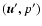 $(\vec{u}',p')$