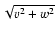 $\sqrt {v^2+w^2}$