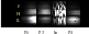 \begin{figure}
\par\includegraphics[width=70mm,clip]{5432f11.eps}
\end{figure}
