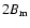 $2B_{\rm m}$