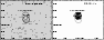 \begin{figure}
\par\includegraphics[width=8.2cm,clip]{6101_f13.ps}
\par\end{figure}