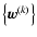 $\left\{ \vec{w}^{(k)} \right\}$