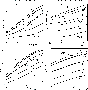 \begin{figure}
\par\includegraphics[width=8cm,clip]{6531fig4.eps}
\end{figure}