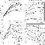 \begin{figure}
\par\includegraphics[width=8cm,clip]{6531fig6.eps}
\end{figure}