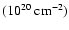 $({\rm 10^{20}~cm^{-2}})$